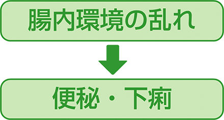 腸内環境の乱れ→便秘・下痢→高血圧・動脈硬化・肝臓障害・腎臓障害