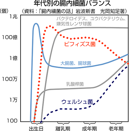 年代別の腸内細菌バランス