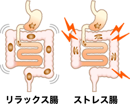 リラックス腸を目指して