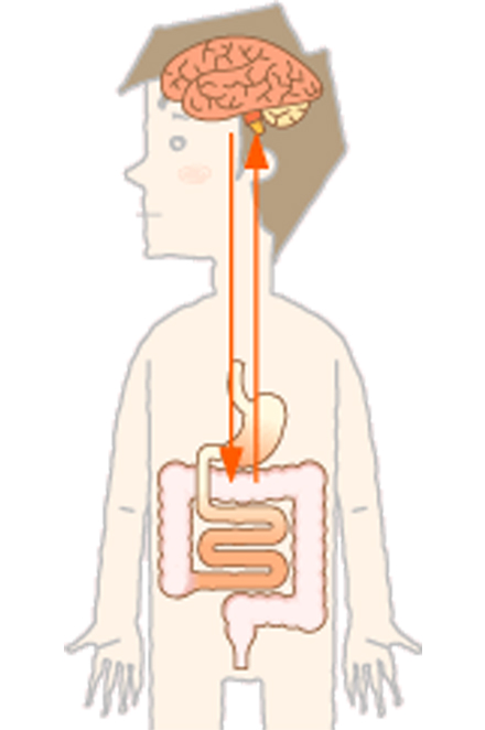 ストレスと腸の関係